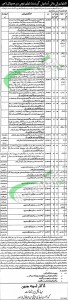 Lady Aitchison Hospital Lahore Jobs