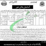 Population Welfare Department Punjab Jobs