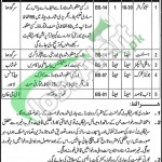 Jobs in Mines and Mineral Department Punjab