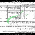 Jobs in Livestock Department Punjab Lahore