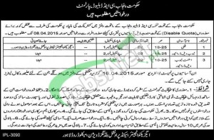 C & W Department Lahore Jobs
