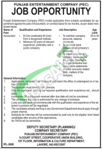 Punjab Entertainment Company Lahore Jobs