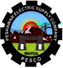 Check PESCO Electricity Bill Online Download Duplicate Copy Print