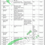 Public Sector Organization Jobs 