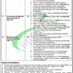 Punjab University Jobs