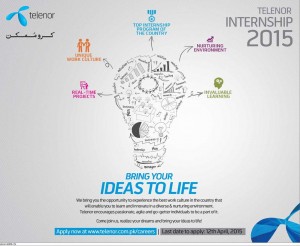 Telenor Internship Program