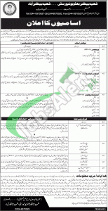 Shaheed Benazir Bhutto University SBBU Jobs