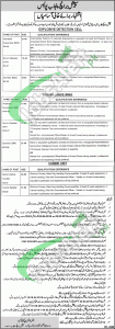 Special Branch Punjab Police Jobs