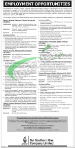 Jobs in Sui Southern Gas Company Karachi