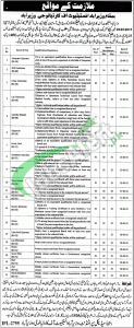 Jobs in Punjab Institute of Cardiology Wazirabad