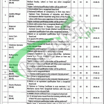 Jobs in Punjab Institute of Cardiology Wazirabad