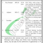 Jobs in Cadet College Okara