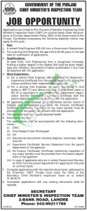 Chief Minister Inspection Team CMIT Punjab Jobs