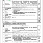 UET Taxila Jobs