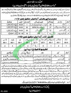 Govt Zulfiqar Ali Bhutto Shaheed Degree College Jobs