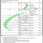 Worker Welfare Board KPK Jobs