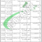 Special Education Department Punjab Jobs