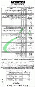 Jobs in Gujranwala Medical College