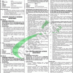 PPSC Jobs