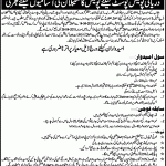 Punjab Police Jobs