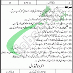 Jobs in Education Department Punjab