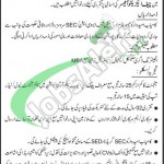 State Engineering Corporation Islamabad Jobs