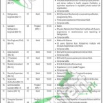 Ministry of National Health Services Regulations & Coordination Islamabad Jobs