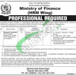 Jobs in Ministry of Finance
