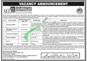 Sindh Enterprise Development Fund Jobs