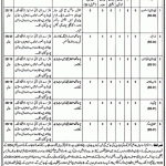 Jobs in Livestock & Dairy Development