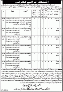 Jobs in Livestock & Dairy Development