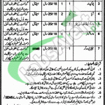 Jobs in Sir Ganga Ram Hospital Lahore