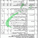 Awqaf & Religious Affairs Punjab Jobs