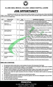 Jobs in Jinnah Hospital Lahore