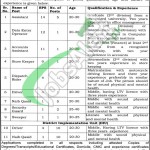 Project Management Unit Lahore Jobs