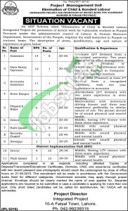 Project Management Unit Lahore Jobs