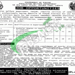 Population Welfare Department Punjab Jobs