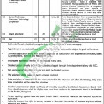 Jobs in Services Hospital Lahore