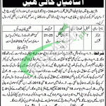 Jobs in Agriculture Department Punjab 2015