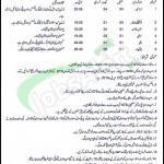 Govt of Punjab Commission On The Status of Women Jobs