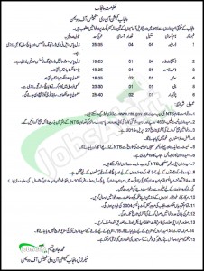 Govt of Punjab Commission On The Status of Women Jobs