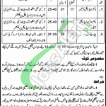 Mines & Minerals Department Punjab Jobs