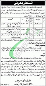 Mines & Minerals Department Punjab Jobs