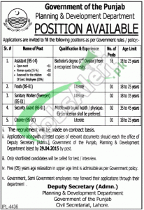 Planning & Development Department Punjab Jobs