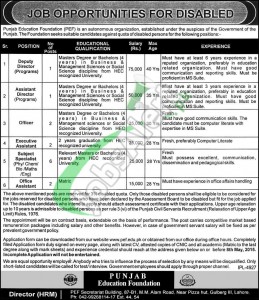 PEF Jobs