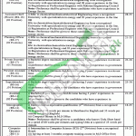 Planning & Development Department Punjab Jobs