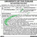 Punjab University Jobs