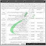 Jobs in Govt of KPK