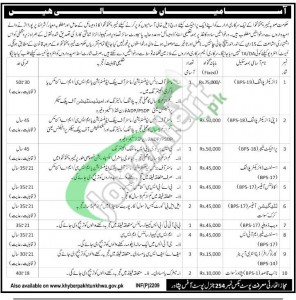 Jobs in Govt of KPK