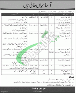 Jobs in Federal Government